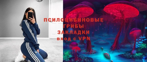 МДПВ Алексин
