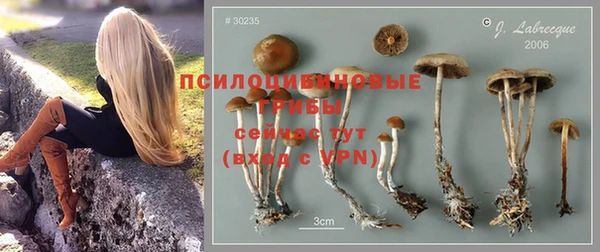МДПВ Алексин