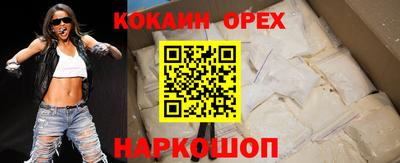 гидра Новозыбков