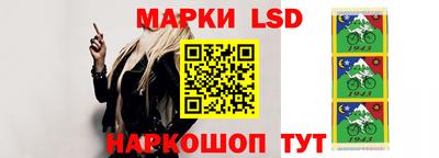 дмт Новокубанск