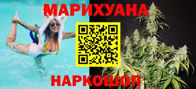 гидра Новозыбков