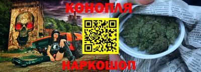 гидра Новозыбков