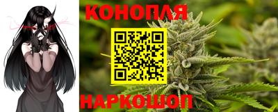 мяу мяу мука Новодвинск