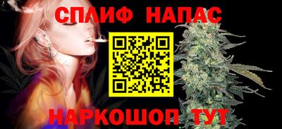 гидра Новозыбков