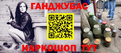 гидра Новозыбков