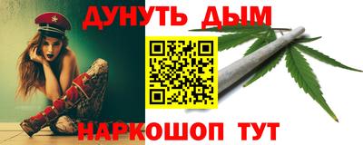 гидра Новозыбков