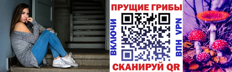 Псилоцибиновые грибы мицелий Узловая