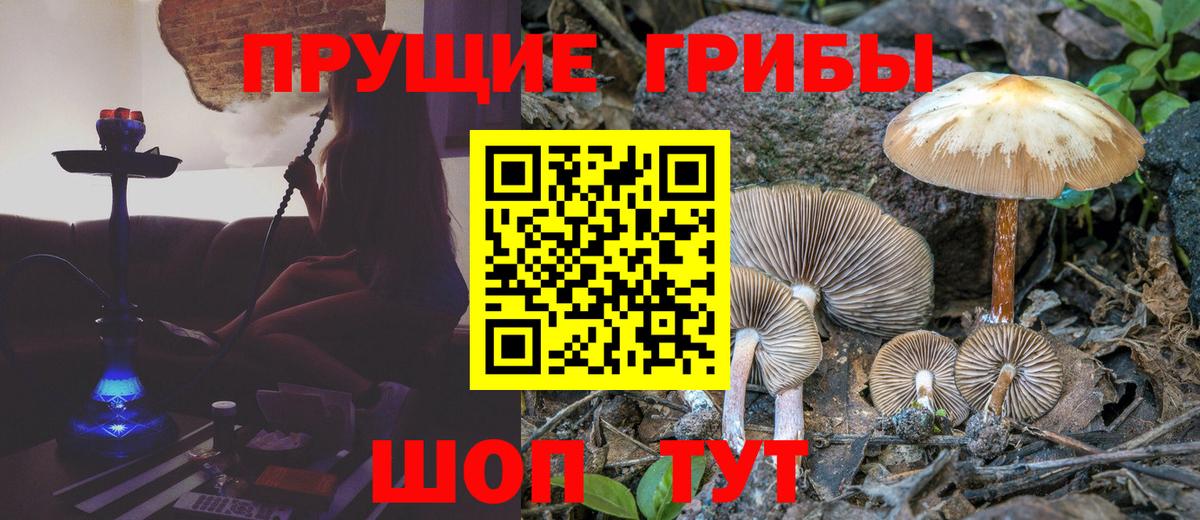 Галлюциногенные грибы прущие грибы Узловая